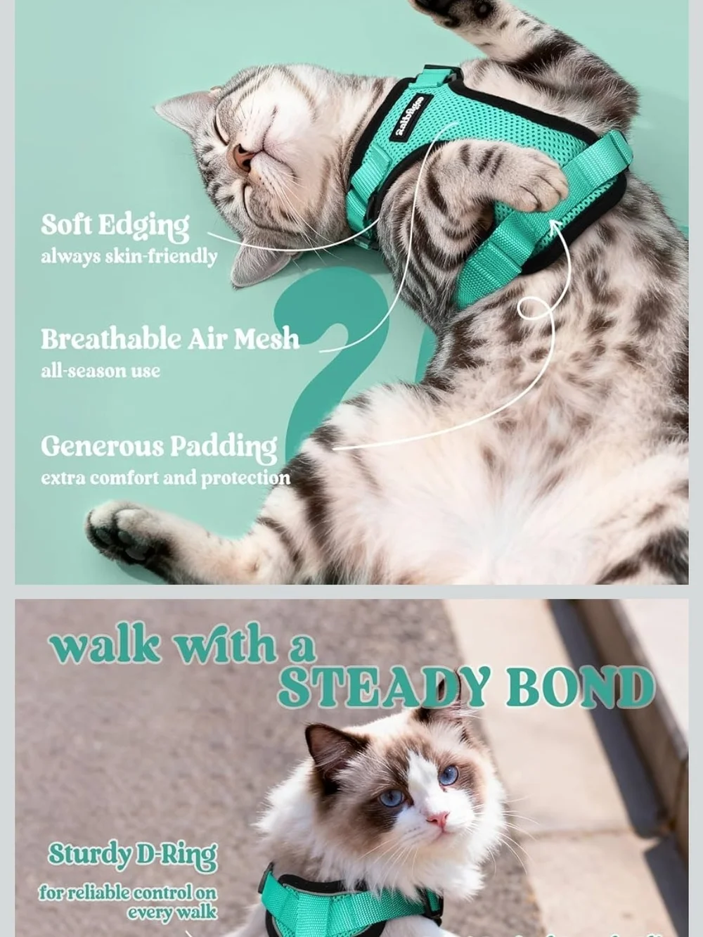 Rabbitgoo Teal Mesh No-Pull Cat/Dog Harness (Leash Not Included)